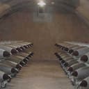 The U.S. Nuclear Deterrent Umbrella